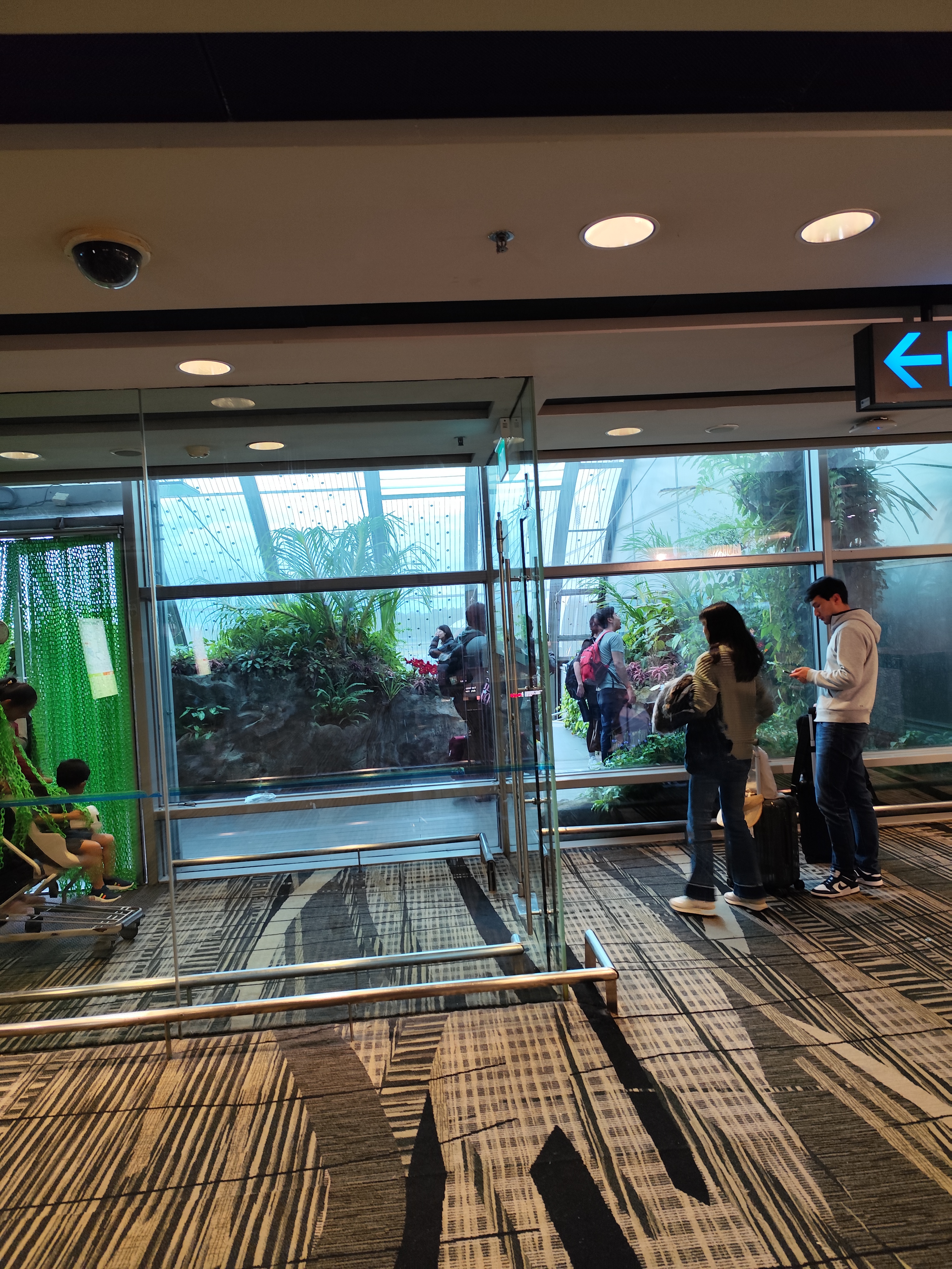 Tag 2 - Zwischenstopp Singapore Changi Airport airport singapur schmetterlingspark