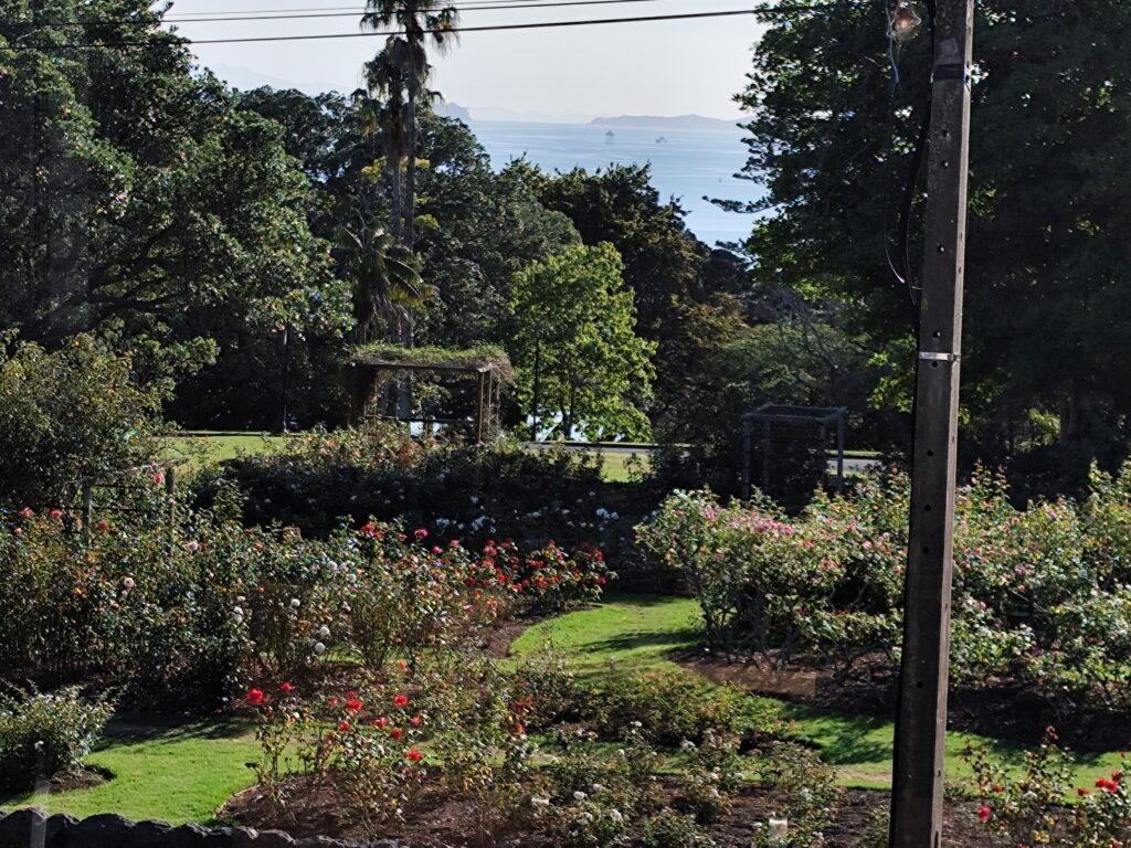 Tag 3 - Kia ora, Aotearoa auckland rosenpark