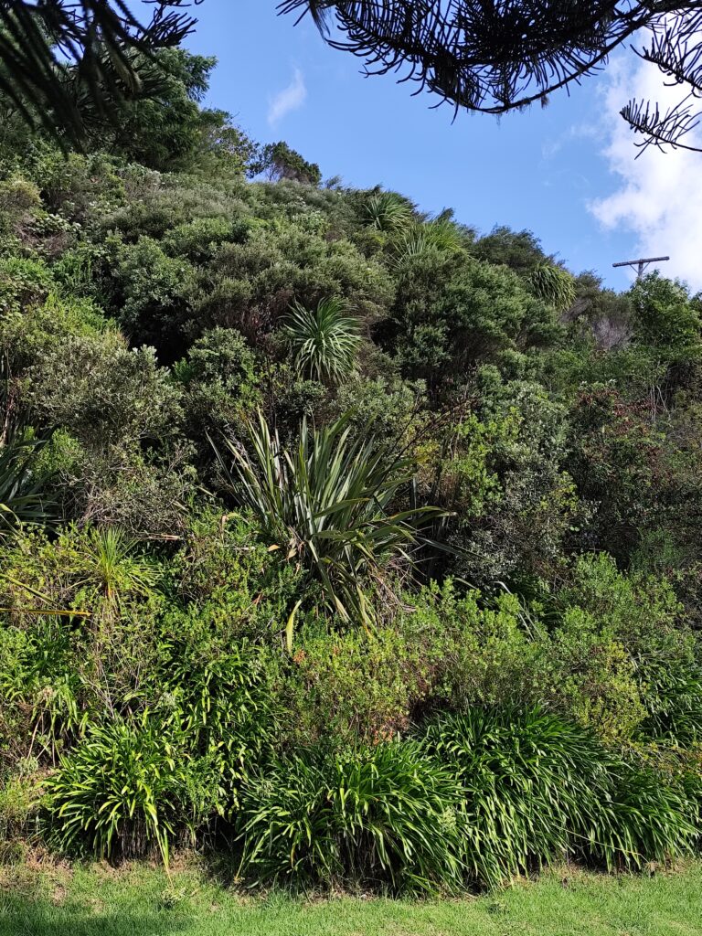 Tag 4 - Paihia und die kleine Insel Russel russel