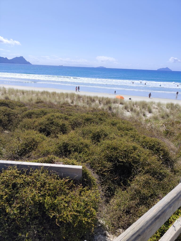 Tag 4 - Paihia und die kleine Insel Russel südwestpazifik